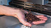 Winnower frangi cacao